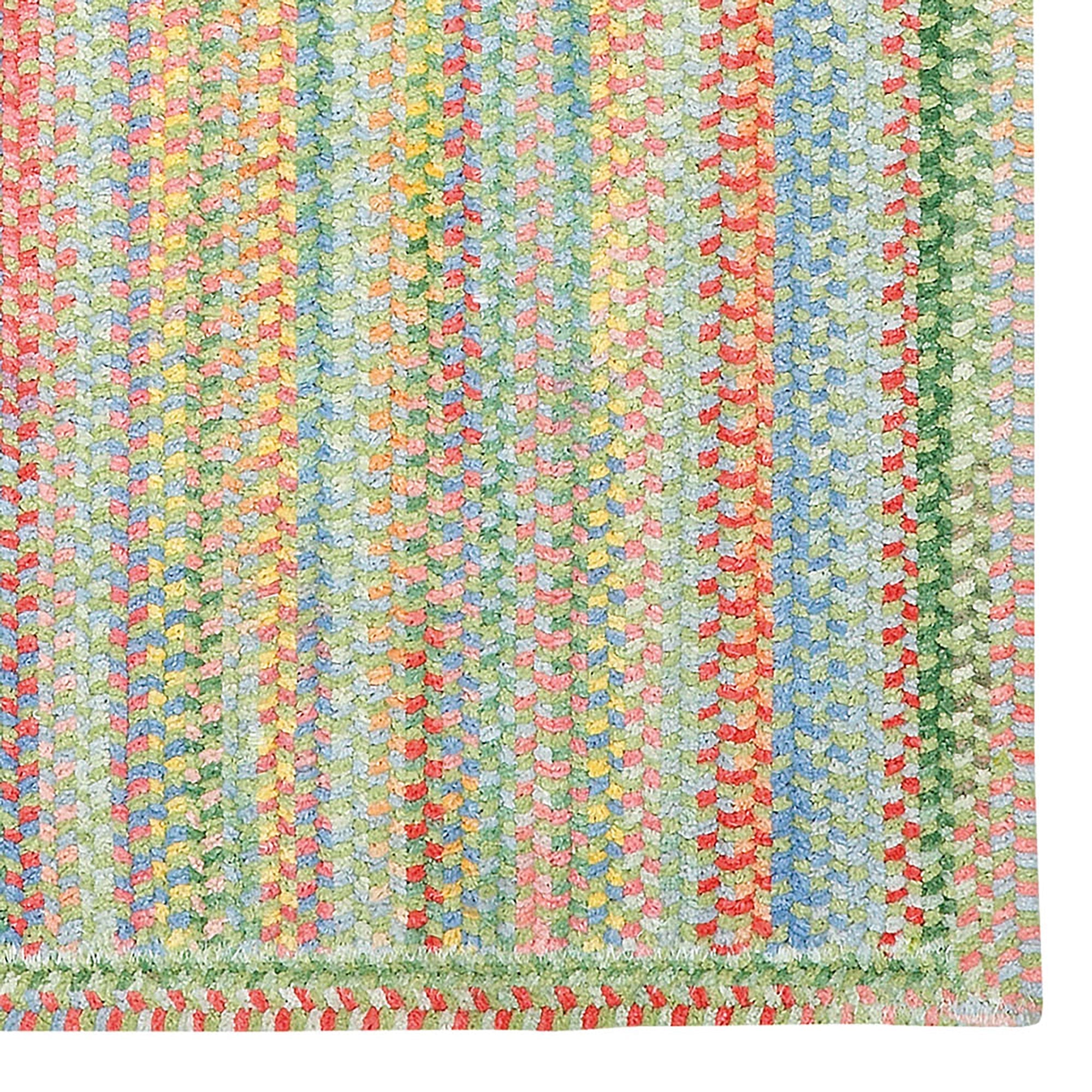 Cutting Garden Grass Braided Rug Vertical Stripe Rectangle image