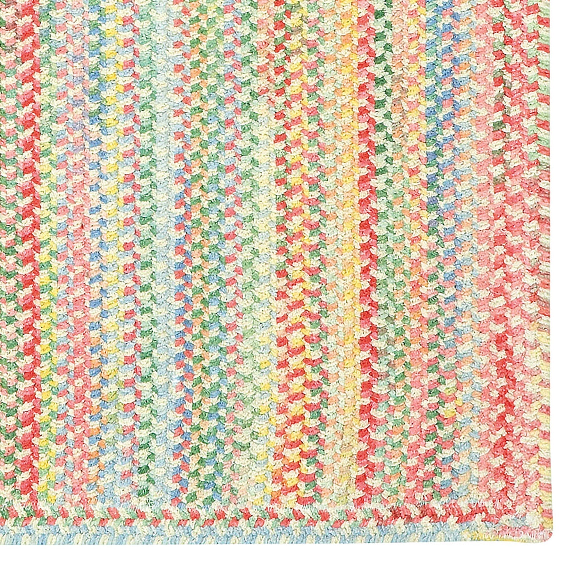 Cutting Garden Lily Braided Rug Vertical Stripe Rectangle image