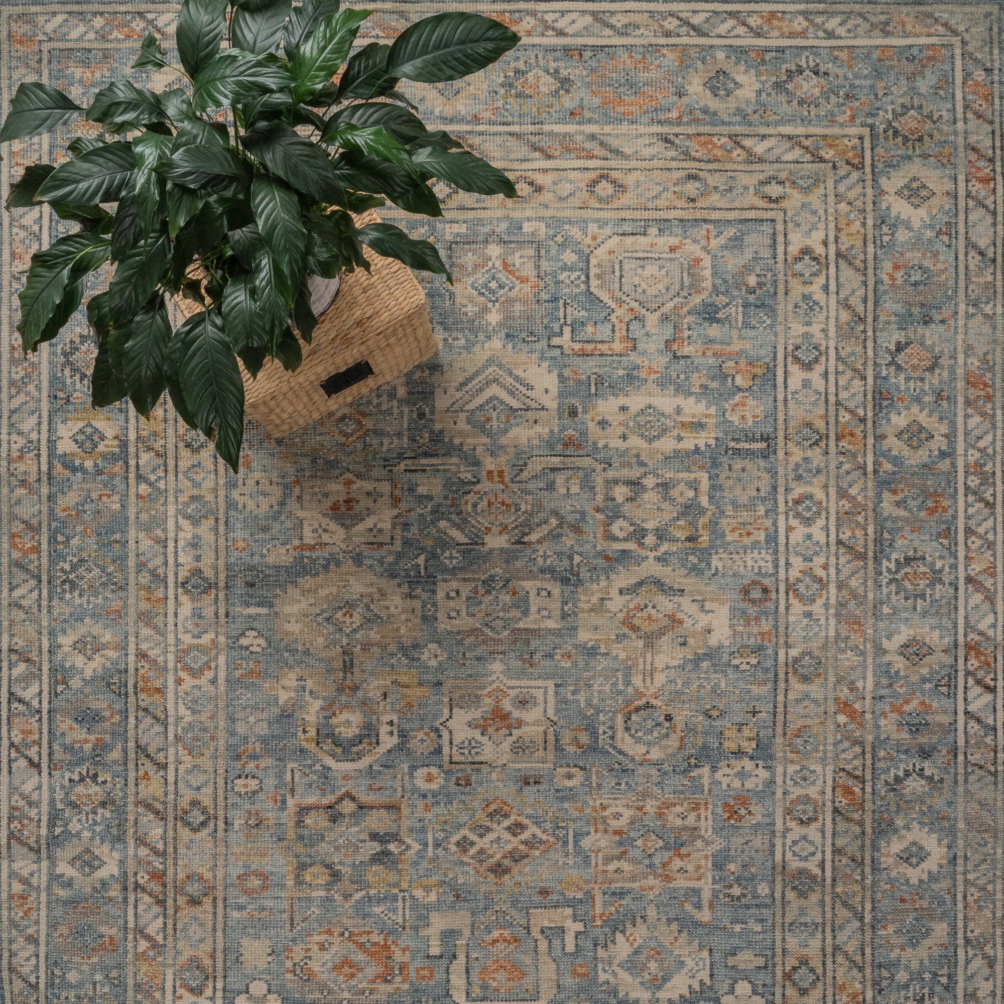 Braymore-Barrett Medium Blue Hand Knotted Rug Rectangle image