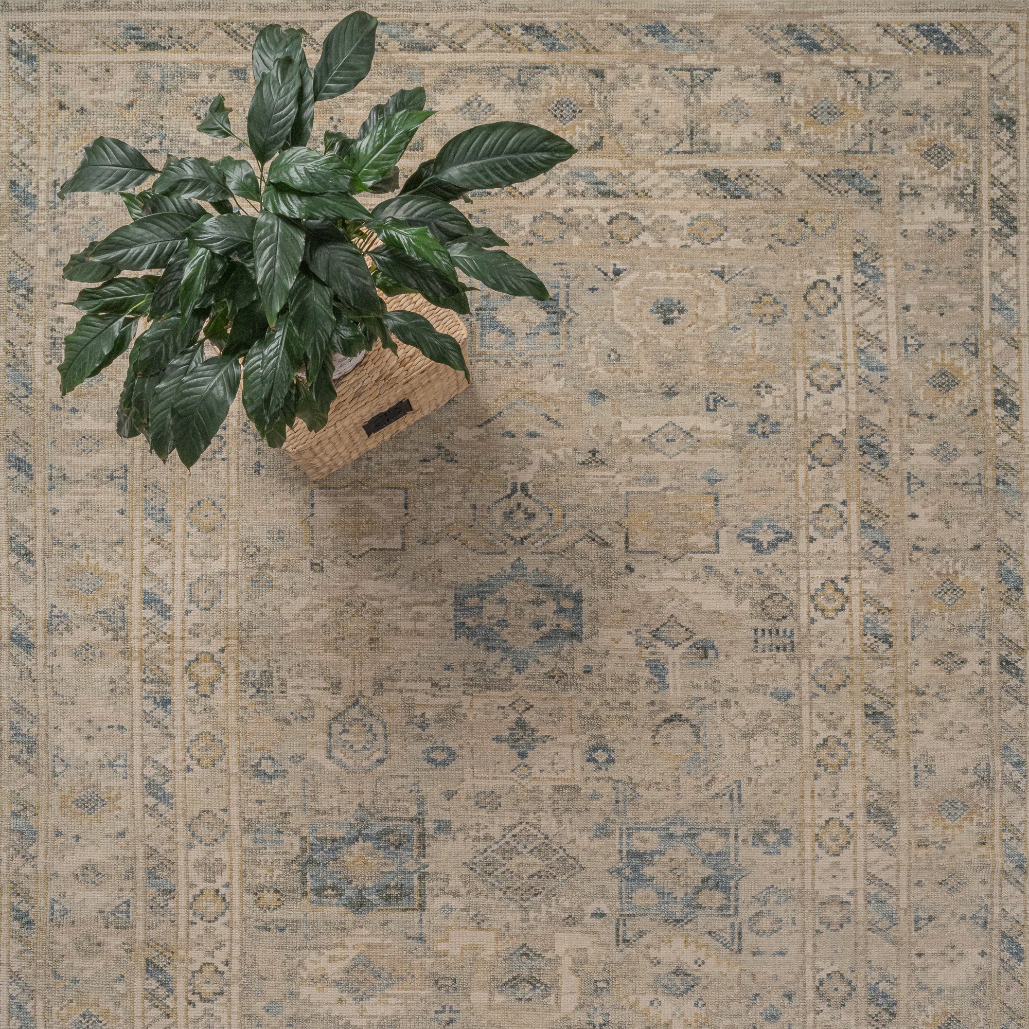 Braymore-Barrett Beige Hand Knotted Rug Rectangle image