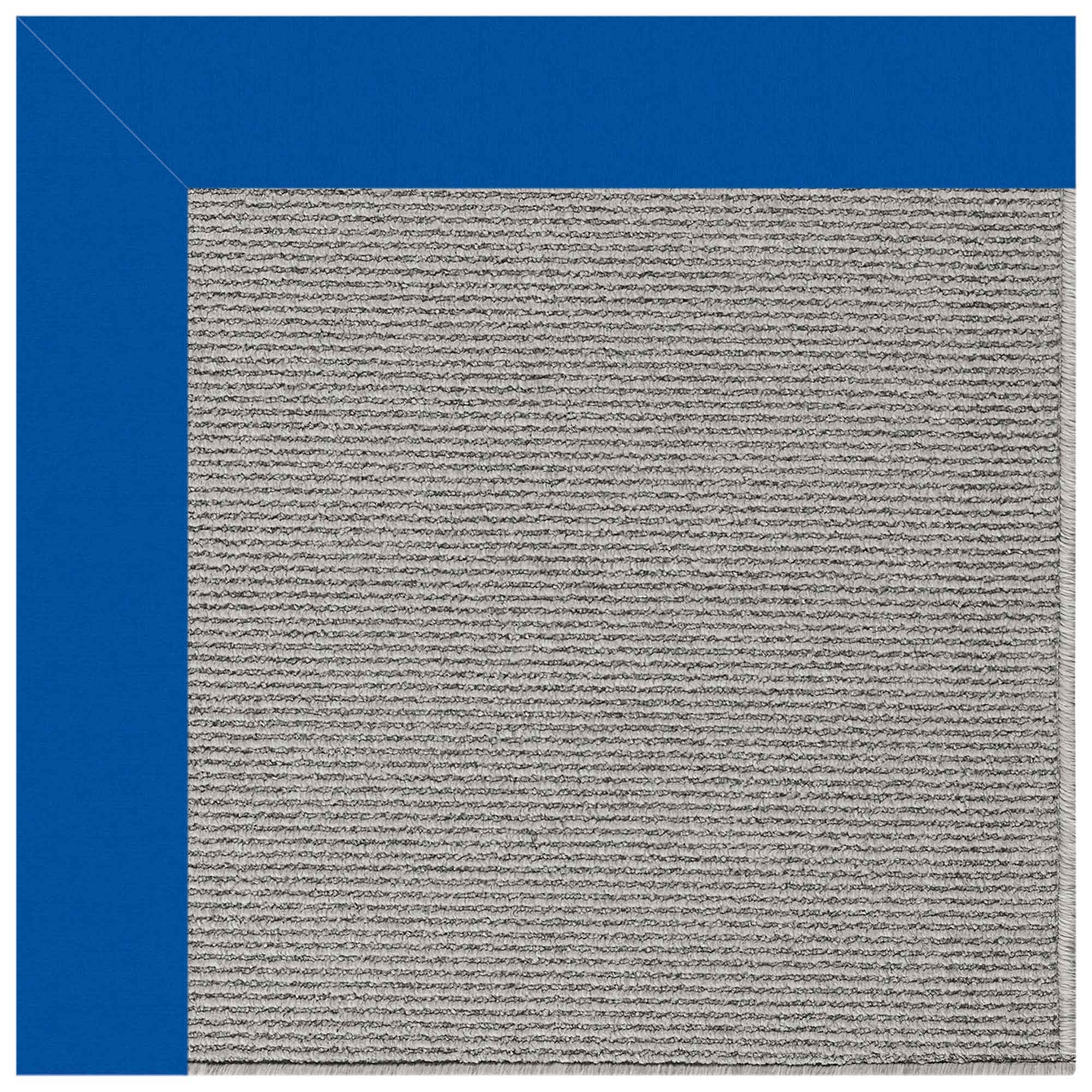 Creative Concepts-Plat Sisal Canvas Pacific Blue Indoor/Outdoor Bordere Rectangle image