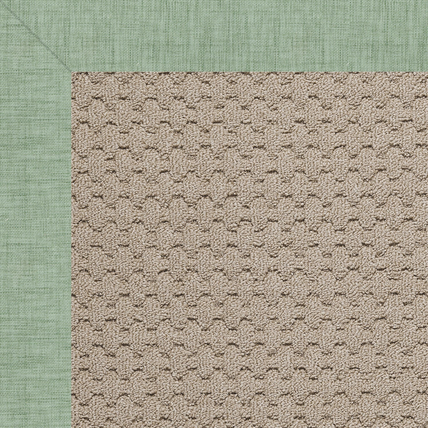 Creative Concepts-Grassy Mtn. Rave Spearmint Indoor/Outdoor Bordere Rectangle image