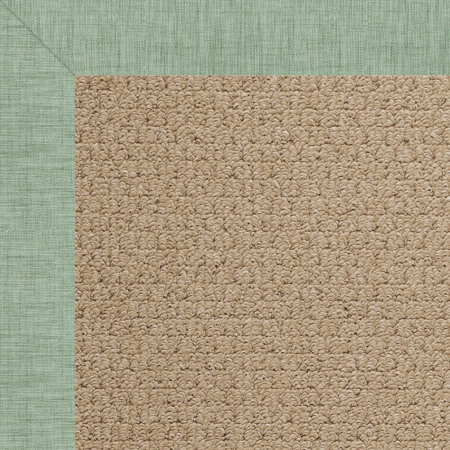 Creative Concepts-Raffia Rave Spearmint Indoor/Outdoor Bordere Rectangle image