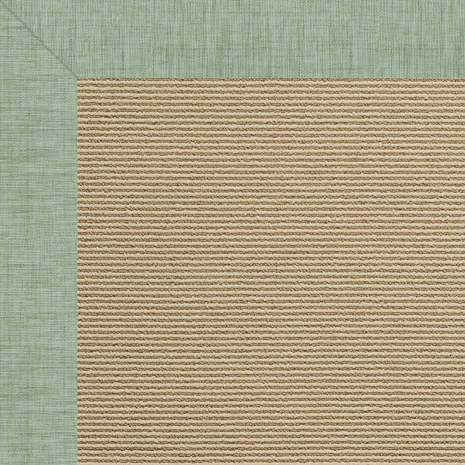 Creative Concepts-Sisal Rave Spearmint Indoor/Outdoor Bordere Rectangle image