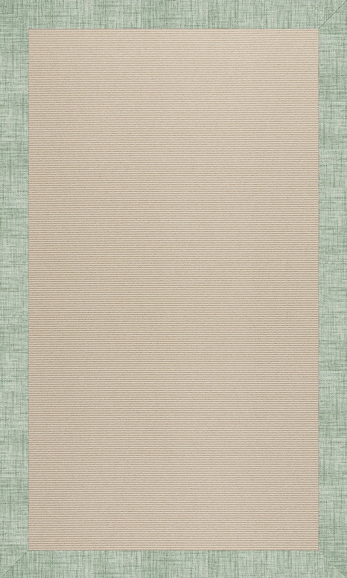 Creative Concepts-Beach Sisal Rave Spearmint Indoor/Outdoor Bordere Rectangle image