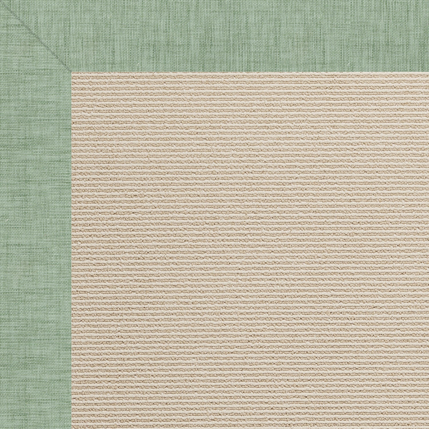 Creative Concepts-Beach Sisal Rave Spearmint Indoor/Outdoor Bordere Rectangle image