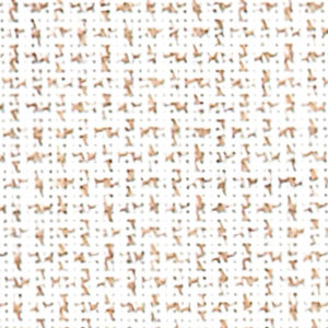 Specia fabric image