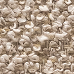 Specia fabric image