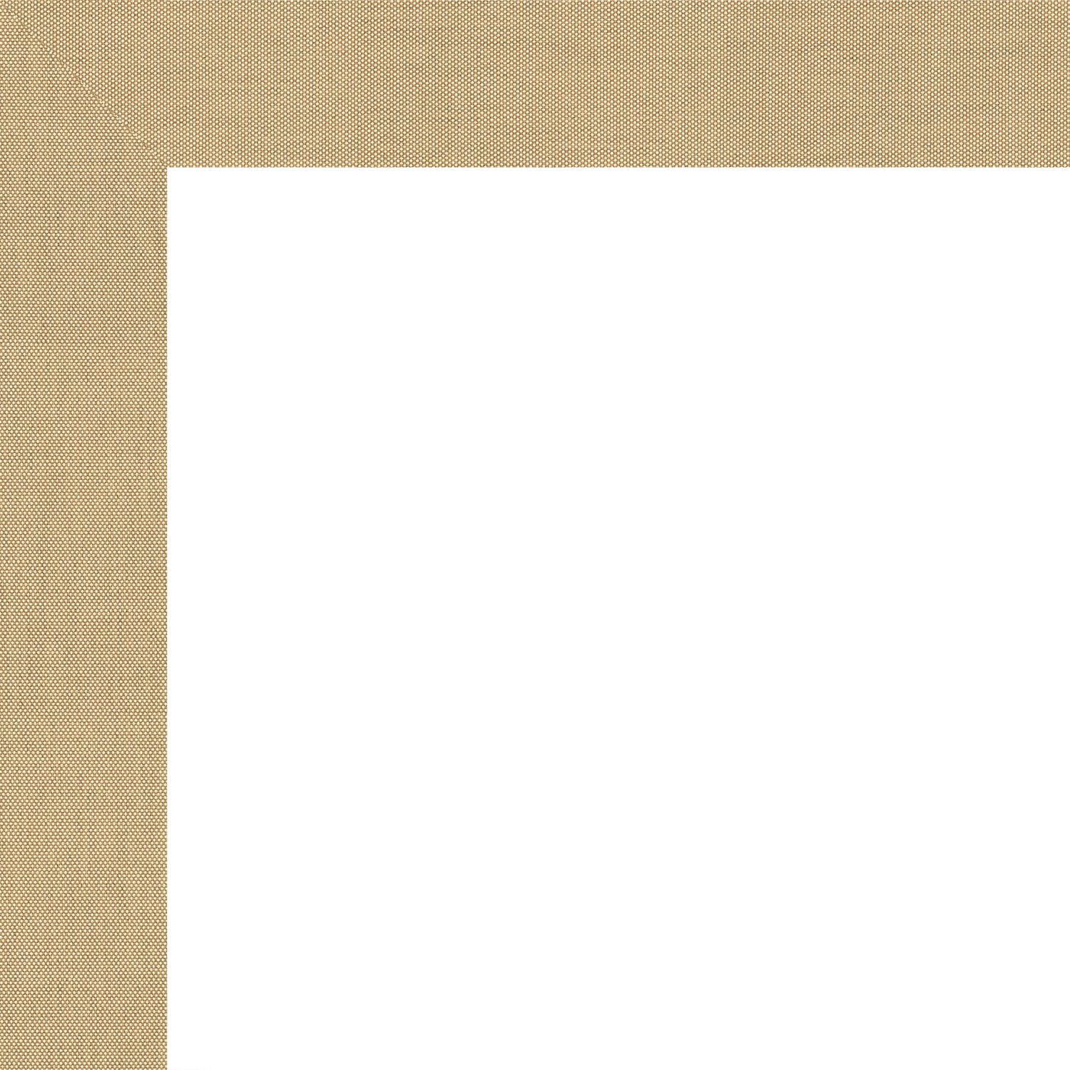 Special OrderImg29